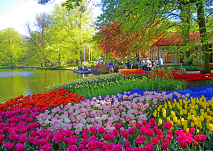 FIRST COMMUNITY BANK TO PREVIEW SPRINGTIME TULIP CRUISE IN HOLLAND, BELGIUM 